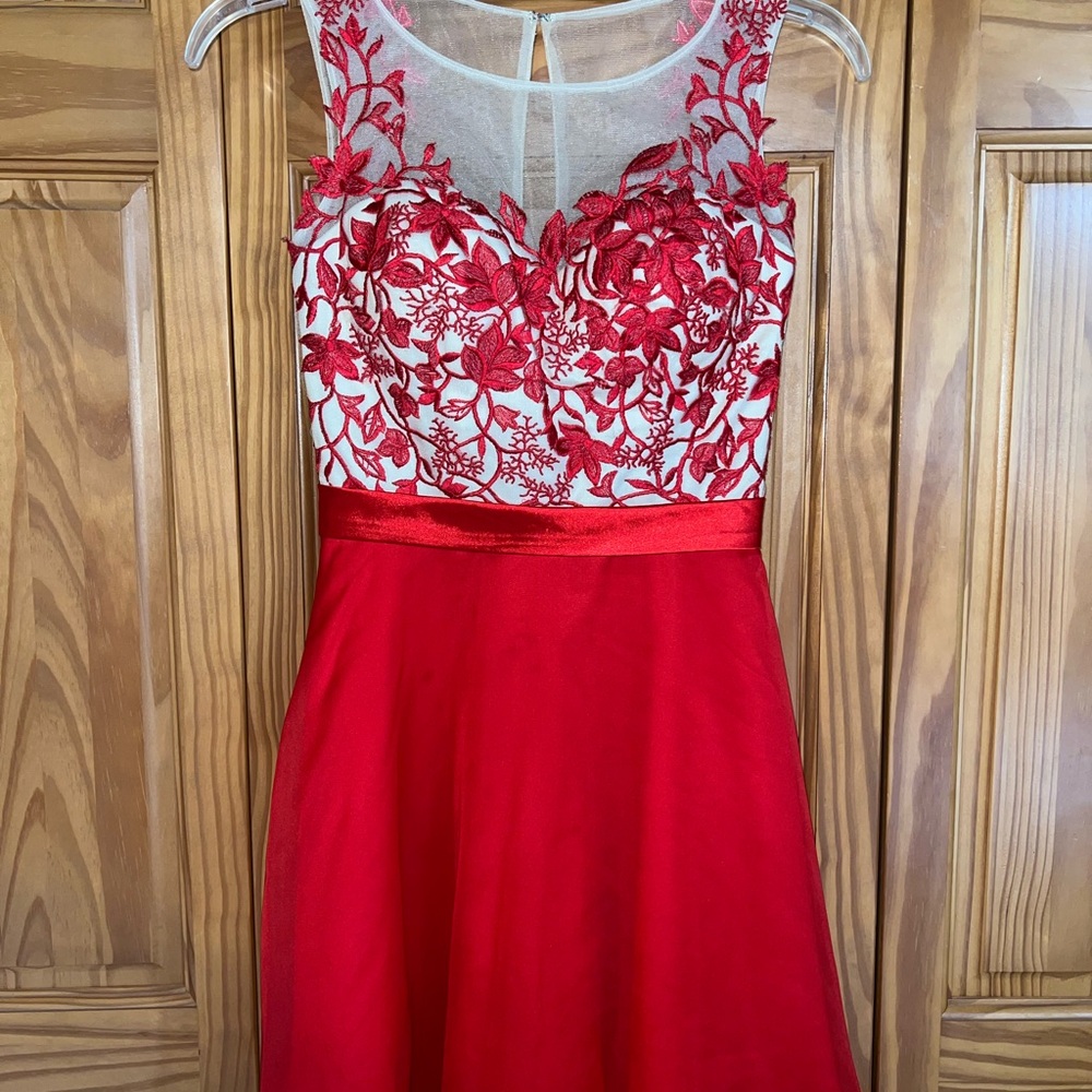 Elegant Red Floral Lace Dress